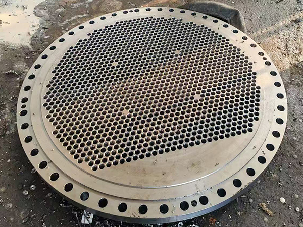 Tube Sheet Flange