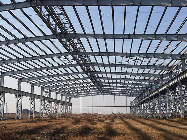 Large-span Portal Steel Structure Building